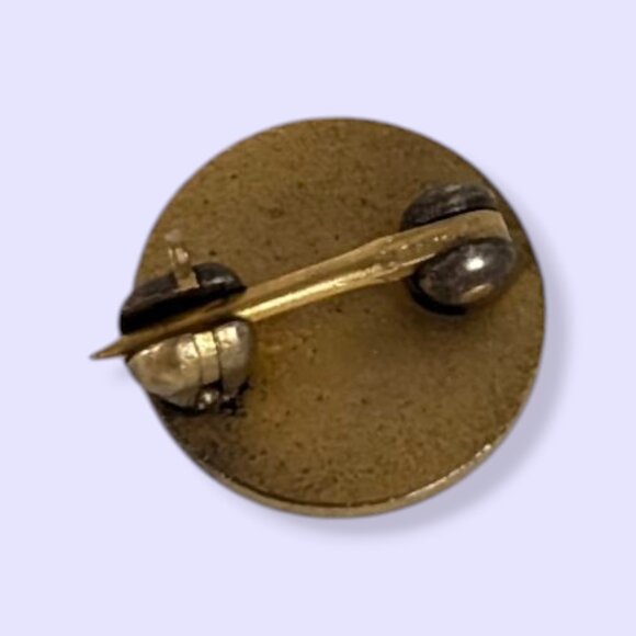 V. Sigma Nu Fraternity Pledge Pin - Picture 5 of 6